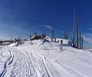 Magurka Radziechowska na zdjęciach