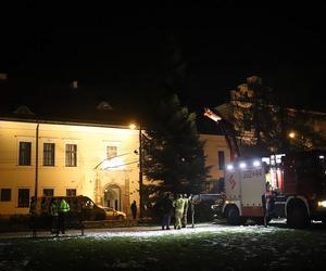 Choinka stanęła pod Oknem Papieskim