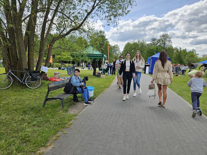 Festiwal Przyjaciół Zwierząt w Olsztynie. Park Centralny opanowały radosne pieski