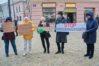 Lublin: Protest w obronie dzików. „Nie dla myśliwych” [GALERIA, AUDIO]