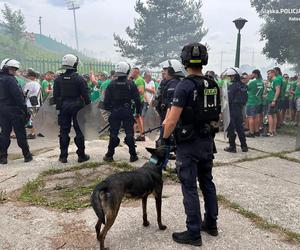 Policja zabezpiecza mecz GKS Katowice - Radomiak Radom