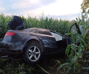 ​Samochód koziołkował w polu kukurydzy, kierowca nie żyje 
