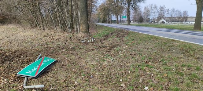 Maciejów Stary. Tragiczny wypadek na drodze wojewódzkiej nr 842