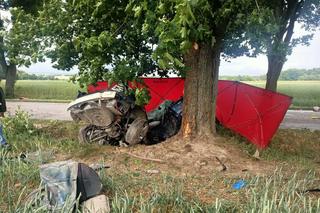Bmw wbiło się w drzewo. Nie żyje młody kierowca! Potworna kraksa podczas wyprzedzania