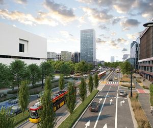 Marszałkowska w Warszawie zostanie zwężona. Tak wygląda przed przebudową 