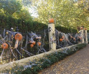 Willa na Jaśkowej Dolinie w Gdańsku znów straszy! Tegoroczny motyw Halloween budzi niepokój