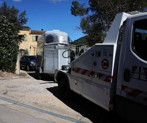 Dziadkowie aresztowani w sprawie zaginięcie dwulatka! Nowe doniesienia