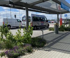 Zazieleniony teren parkingu i pasażu przed terminalami Katowice Airport