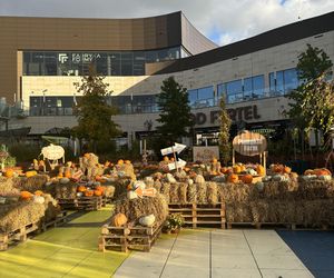 Zobacz, jak poznańskie świętują Halloween