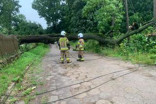 Wichura i ulewy w Podlaskiem. 15 tys. odbiorców bez prądu [ZDJĘCIA]