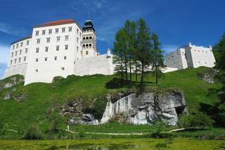 Zamek w Pieskowej Skale