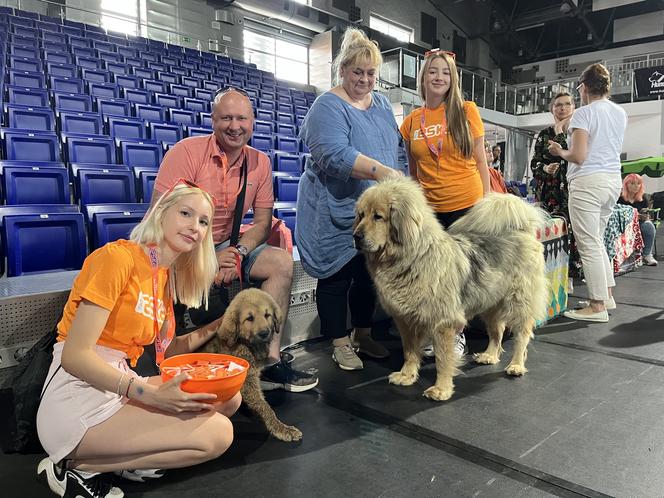 ​XXVII Międzynarodowa Wystawa Psów Rasowych - POMERANIA SHOW