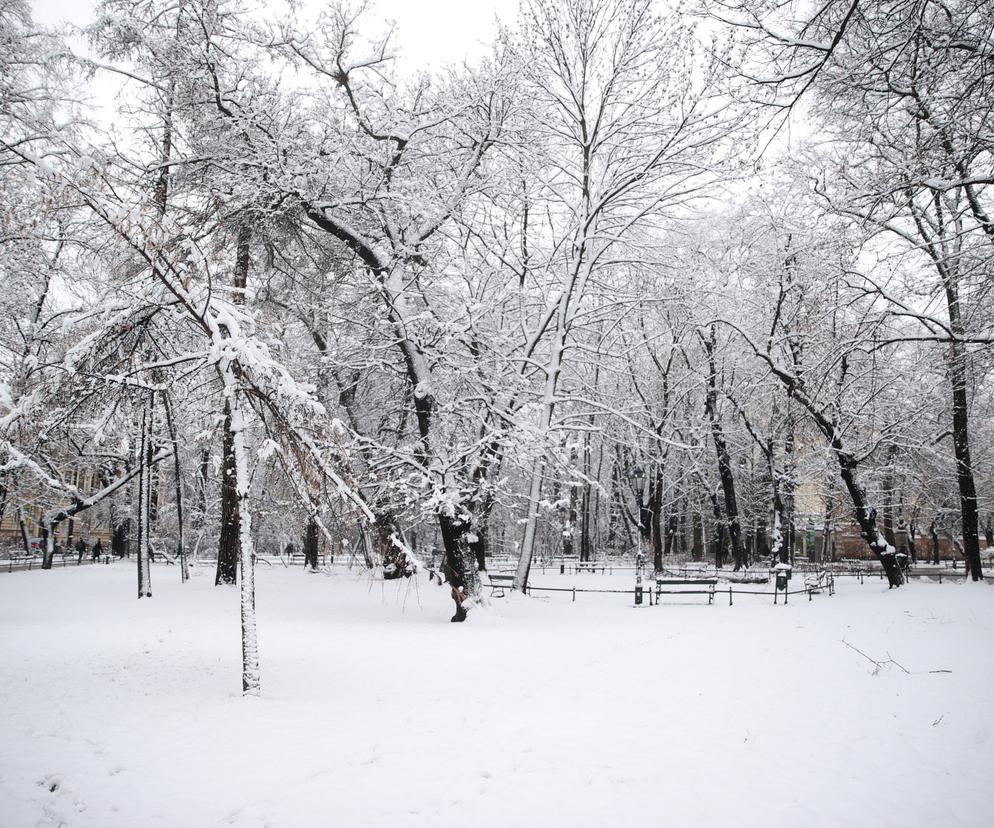 Kraków po opadach śniegu