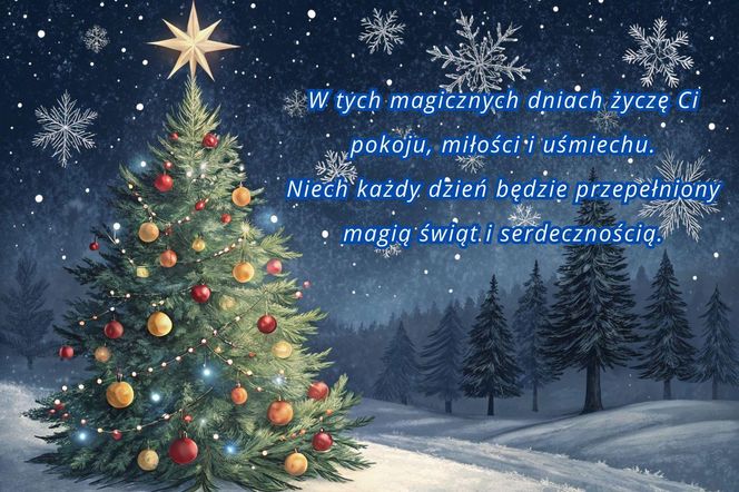 Kartki na Boże Narodzenie. Obrazki świąteczne do wysłania SMS, Whastapp. Pobierz kartki na Boże Narodzenie 2025 r [24.12.2025]
