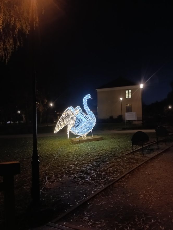 Iluminacje świetlne 2024 Gdańsk