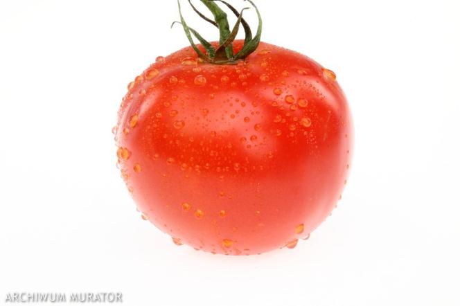 Pomidor zwyczajny