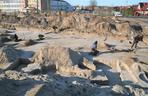 Odkrycia archeologiczne na Białołęce przy ulicy Ostródzkiej