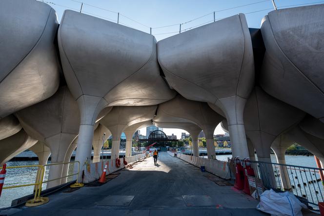 Little Island w Nowym Jorku_Heatherwick Studio _58