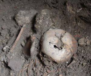 Groby dzieci. Odkrycie archeologiczne w Bytomiu