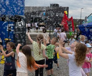 Centrum Bajki Koziołka Matołka w Pacanowie