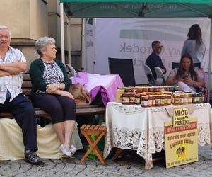 Miasto miodem płynące! Tak świętowali pszczelarze w Lublinie! Zobacz 