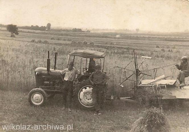 Wilkołaskie żniwa w I połowie XX wieku