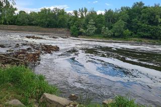 Kolejne zanieczyszczenie? Gęsta piana w korycie Wisły