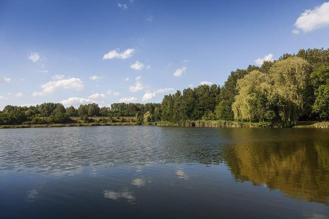 Teren dawnego Parku Jordanowskiego w Świętochłowicach zostanie na nowo zagospodarowany
