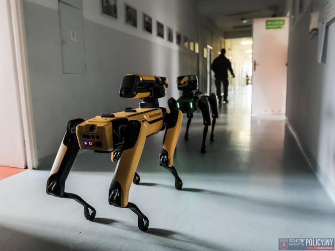 Robopies odwiedził i ćwiczył z warszawskimi policjantami
