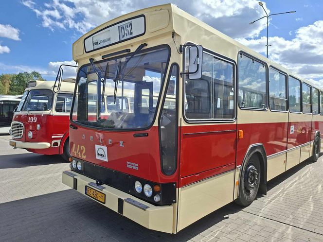 II Zlot Zabytkowych Autobusów w Starachowicach