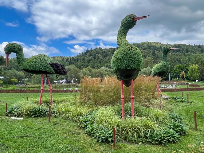 "Polska Grecja" w sercu uzdrowiska. Śródziemnomorski klimat zachwyci kuracjuszy