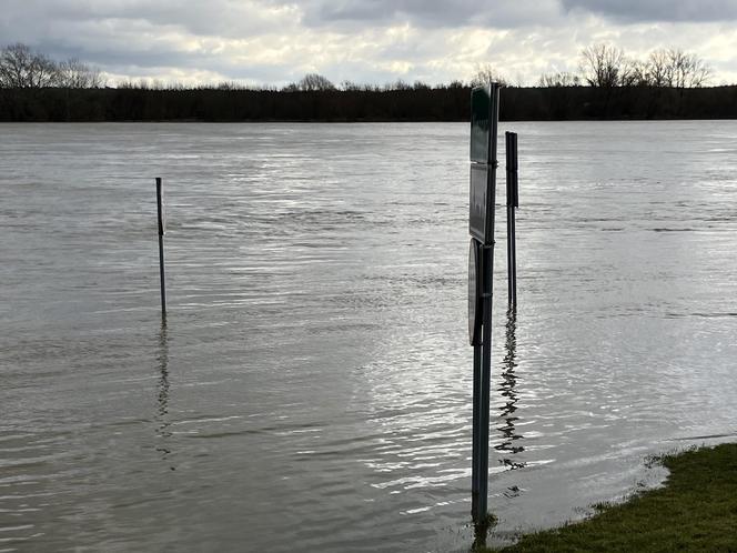 Poziom wody w Wiśle w Toruniu i okolicach