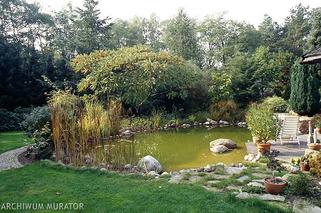 Proekologiczne rozwiązania w ogrodzie: jak dbać o wodę, powietrze i glebę