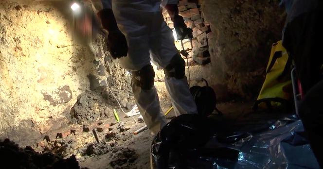 KLESZCZE GOZWŁOKI ZAKOPANE W PIWNICYŁĘBIE POGRYZŁY POLICJANTÓW