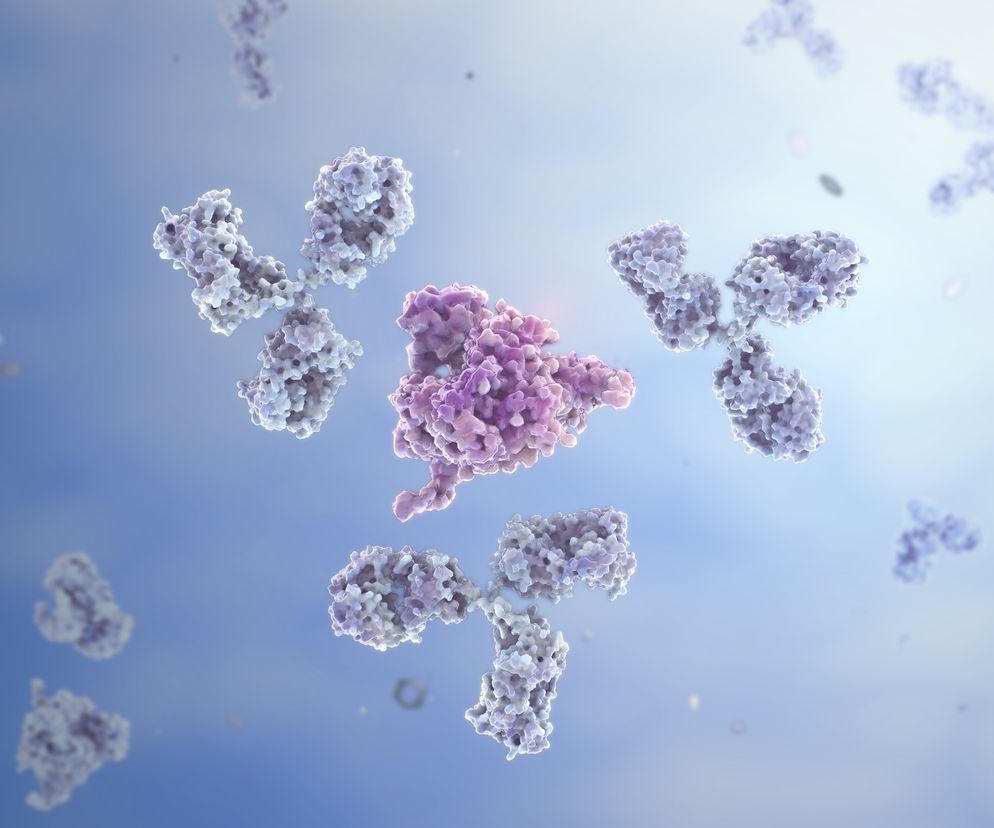 Immunoglobulina typu E (IgE) 