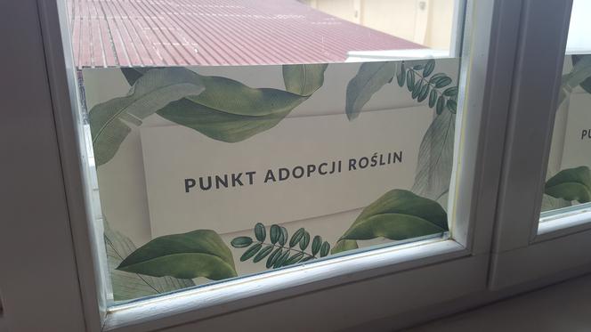 Rzeszowski Inkubator Kultury zachęca do adopcji! Chodzi o... rośliny!