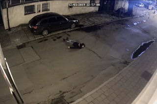 Kraków: Wracał z imprezy i niszczył samochody. Niewyżyty Francuz w rękach policji [ZDJĘCIA, WIDEO]