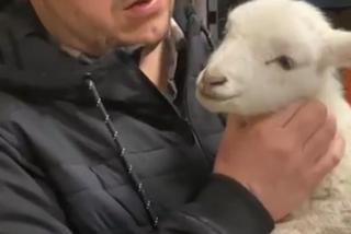 Zostałem mamą Henia