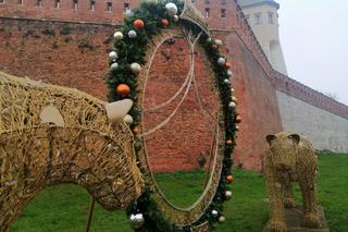 Świąteczne dekoracje w Krakowie