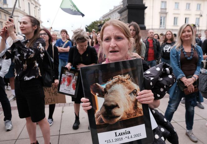 Marsz Wyzwolenia Zwierząt