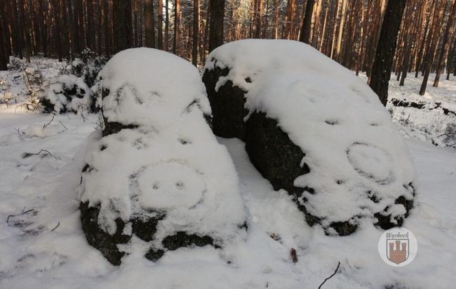 Kamienna Świnki w gminie Wąchock