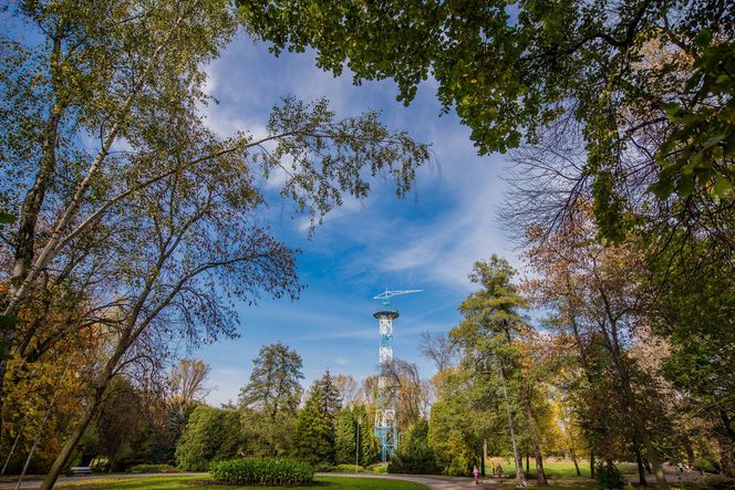 Park Kościuszki Katowice