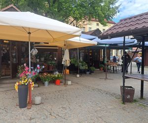 Dzielnica Dębniki w Krakowie