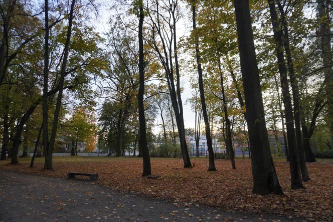 Park Lubomirskich w Białymstoku jesienią 