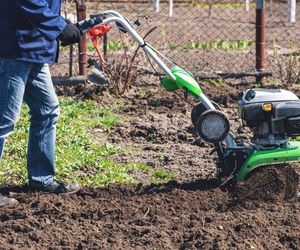 Kultywator – do czego służy? Jak wybrać kultywator do ogrodu?