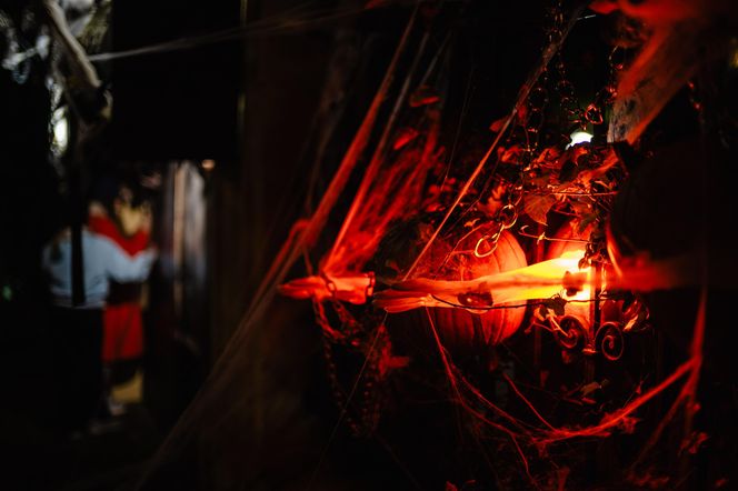 Willa na Jaśkowej Dolinie w Gdańsku