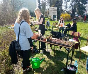 II Grudziądzki Piknik Naukowy