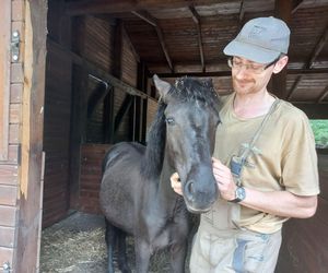 Mini ZOO w Lesznie ma nowych mieszkańców. To owce, konie i osioł
