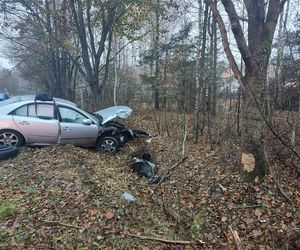 Kośminy: Auto wypadło z drogi. Kierowca dostał mandat!