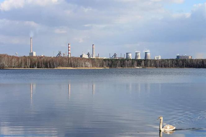 Pływająca kawiarnia w wesołym miasteczku. Jak dzisiaj wygląda "Arizona"? 